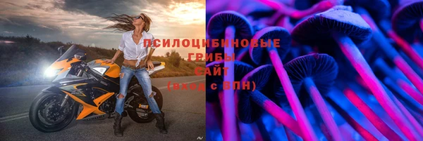дмт Алексин