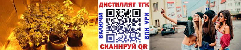 Дистиллят ТГК концентрат  что такое наркотик  Наволоки 